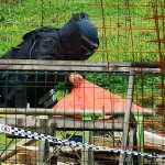 2013 07 31 Ipswich Explosives Incident