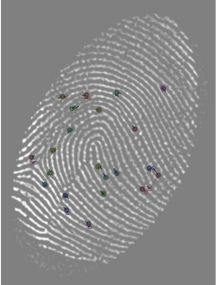 AFIS-3-22-Minutiae-Negative-Smytec