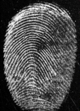 Glass-Window-Fingermark-Smytec