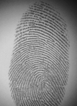 Painted-Wall-Fingermark-Smytec