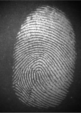 Phone-Screen-Fingermark-Smytec