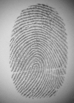 Plastic-Fingermark-Smytec