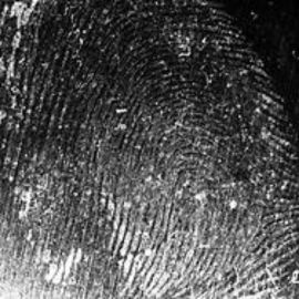 Untitled-design-11