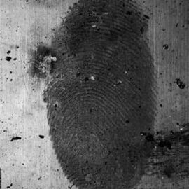 Untitled-design-9
